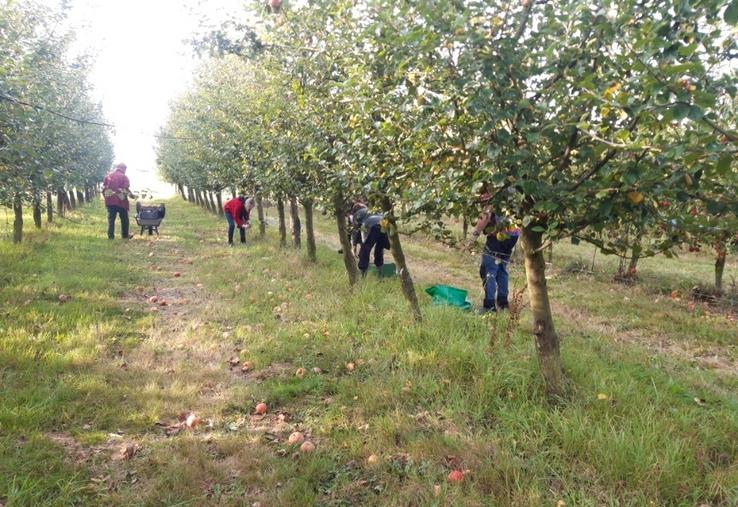 Les bénévoles ainsi que Jean-Baptiste et Emma Jacob ont apprécié travailler ensemble. Ils se retrouveront peut-être en novembre pour un second glanage.