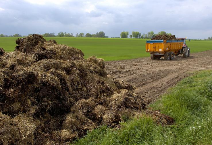Le stockage au champ reste autorisé en zone vulnérable mais cette pratique est encadrée par des règles précises qu'il faut respecter scrupuleusement.