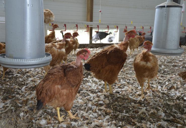 L'État a débloqué une enveloppe de 4 millions d'euros.