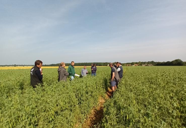 Visite des parcelles du projet avec les agriculteurs et les conseillers.