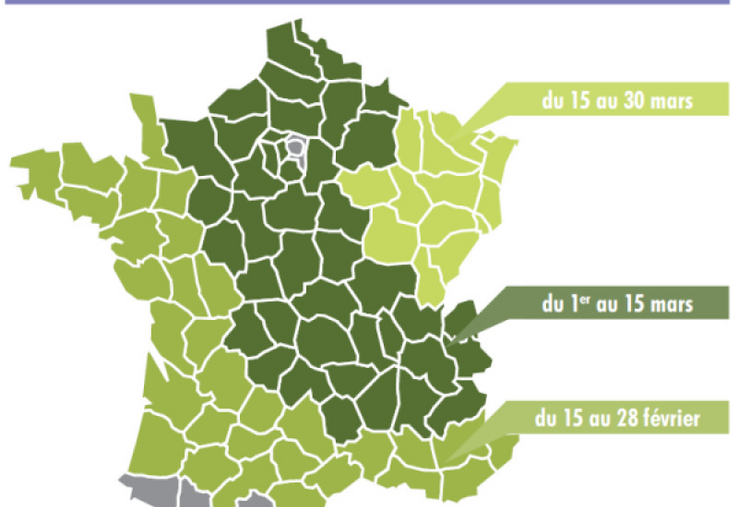 Les dates de semis conseillées.