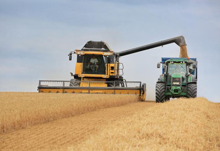 Pour le moment, l'offre mondiale de grains reste abondante, justiﬁant le maintien des cours à un niveau relativement bas.