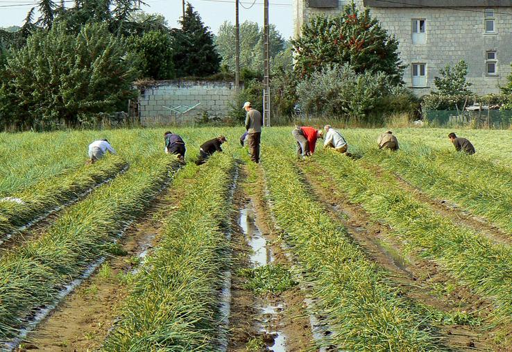 La mise à disposition d'un logement permet de stabiliser les équipes saison après saison.
