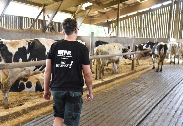 Pour découvrir les parcours et trouver la voie qui vous ressemble, rendez-vous sur www.mfrnormandie.fr.