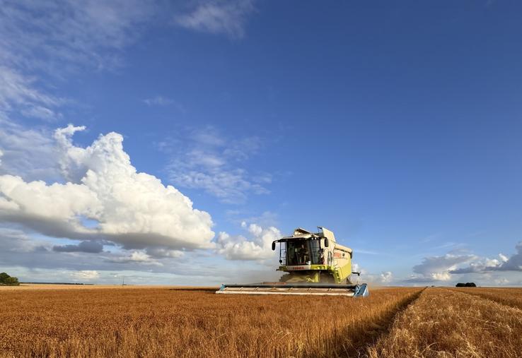 À la linière du Ressault, le strippage représente 90 % (900 ha sur 1 000 ha jusqu'en Eure-et-Loir) de la récolte de semence de lin. Derrière : simplement un semis direct de blé, autre avantage.