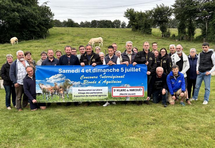 Une trentaine d'éleveurs et bénévoles prépare le nouveau concours interrégional de Blonde d'Aquitaine qui aura lieu à Saint-Hilaire-du-Harcouët les 4 et 5 juillet.