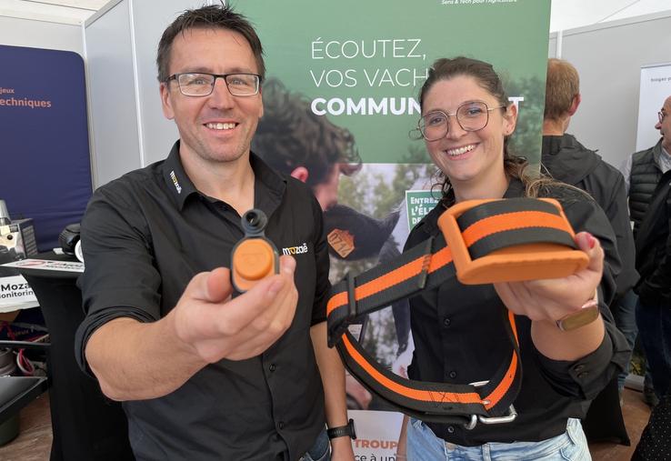 David Savary et Morgane Houdus. A gauche la boucle d'oreille, à droite le traditionnel collier de vêlage.
