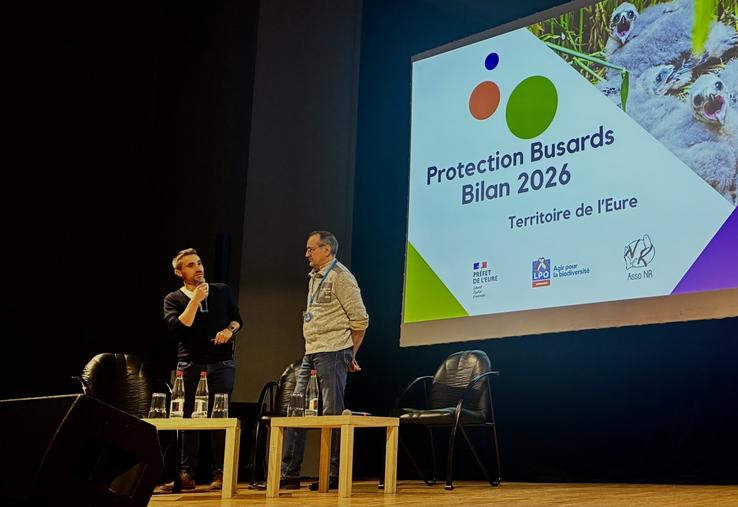 Bilan de la protection des busards dans l'Eure animé par Anthony Le Pennec de la DDTM de l'Eure.