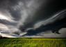 Après l'orage, une double peine pour les agriculteurs de l'Eure : les pertes de récoltes et l'urgence administrative.