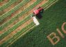 En 2023, l'agriculture biologique représentait 14 % des exploitations en France et 6 % des ventes de produits alimentaires.