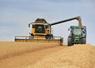 Pour le moment, l'offre mondiale de grains reste abondante, justiﬁant le maintien des cours à un niveau relativement bas.