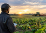 Les assureurs sont mobilisés pour accélérer les indemnisations des exploitants agricoles.
