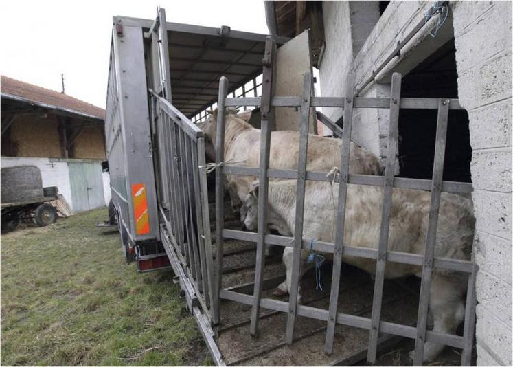 Les éleveurs à 70 kilomètres alentour de l’abattoir pourront amener leurs animaux.