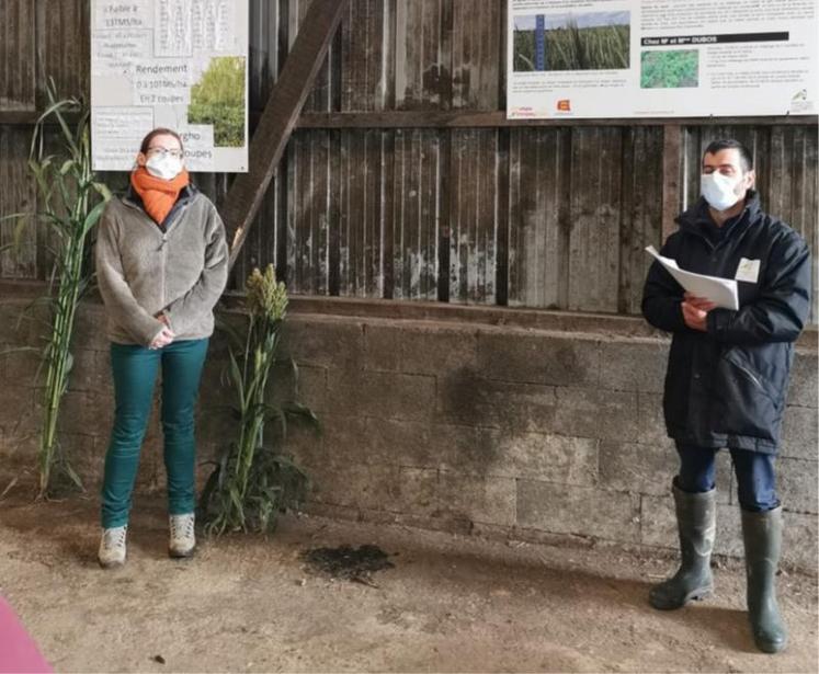 La journée de présentation de nouvelles cultures fourragères a eu lieu au Gaec Dubos à Grumesnil.