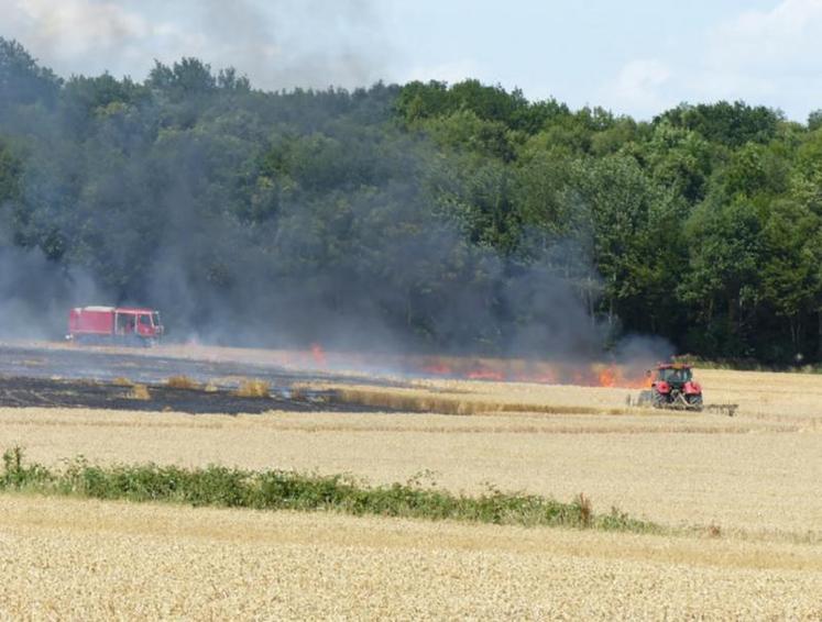 Plusieurs incendies ont touché des parcelles de l’Orne et du Calvados au début du mois.