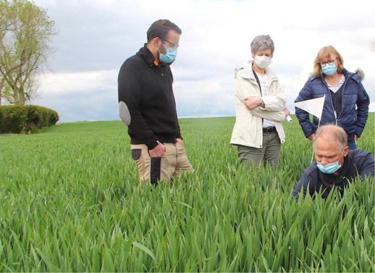 Jérémy Delaunay (agriculteur), Stéphanie Raux-Brout (directrice
de la CA), Anne-Laure Marteau (secrétaire de la CA 27) et Christophe Saingier (conseiller végétal).