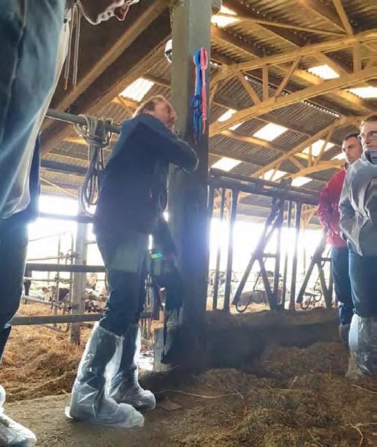 Yoann Durand, électro-géobiologue, en plein travail de recherche de fuites de courants chez le Gaec du Barbois à Sallen.