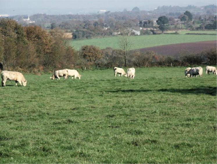 « La production de viande est souvent décriée. Entrer dans la démarche nous permet de montrer au grand public la vertueusité de nos pratiques », affirme Franck Seguignier éleveur de la Nièvre.