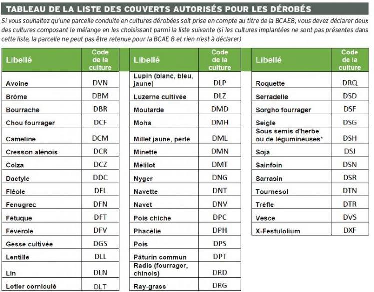 En cas d’implantation d’un sous-semis d’herbe ou de légumineuses en culture dérobée, une seule culture doit être déclarée, il n’y a
pas de deuxième culture déclarée.