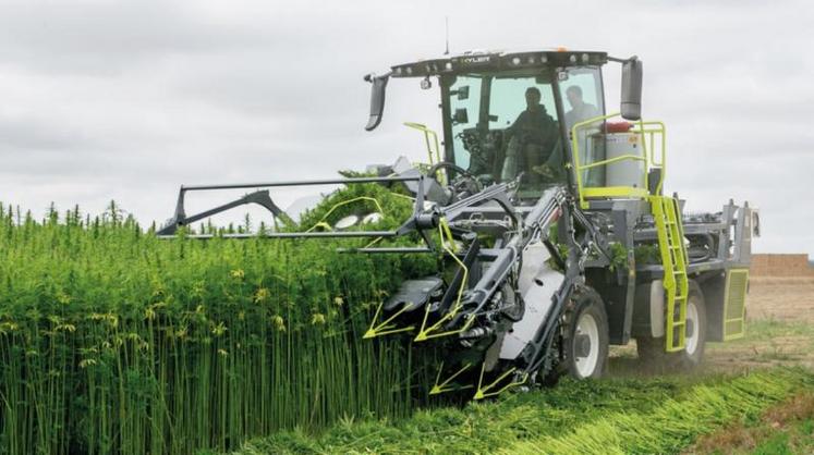 Une machine a été développée spécialement pour le fauchage.