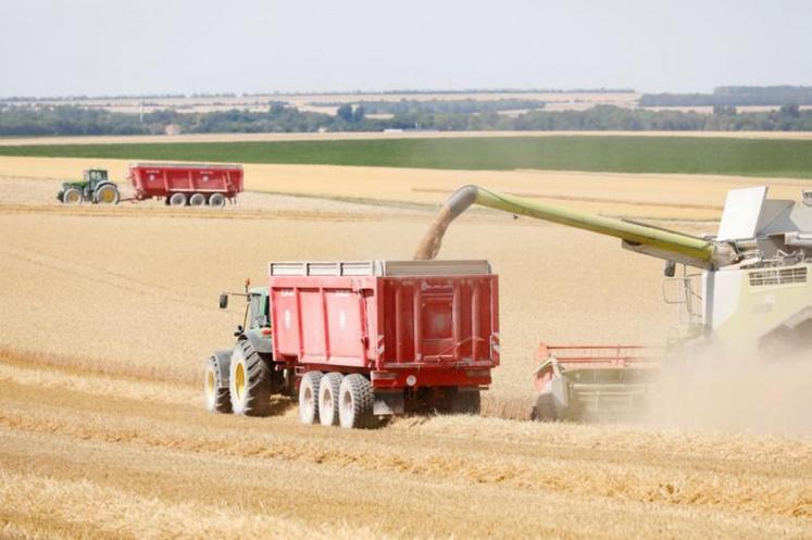 Les besoins en grains ne devraient pas faiblir en 2022-2023.