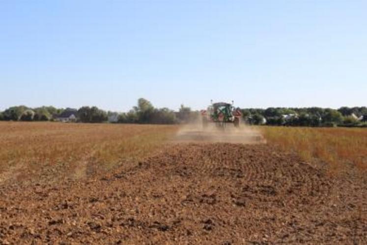 « Le déchaumage après moisson est l'un des leviers déjà pas mal pratiqué mais j'encourage l'utilisation de houe rotative ou de herse
étrille », insiste Alexis Villeneuve, conseiller référent grandes cultures chez Littoral Normand.