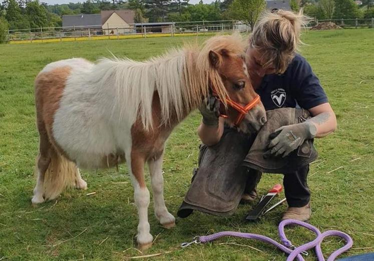 Elodie Campeaux « accorde une grande importance au bien-être physique et psychologique de l’animal. »