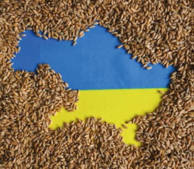 Un besoin de 10 à 15 % de semences en plus pour la prochaine campagne d’ensemencement.