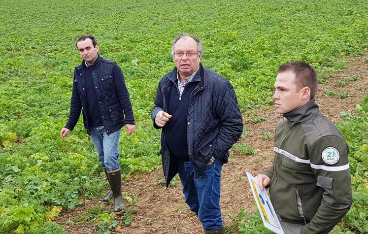 Une trentaine d'agriculteurs et de chasseurs se sont rassemblés à Tourny pour la journée intercultures.