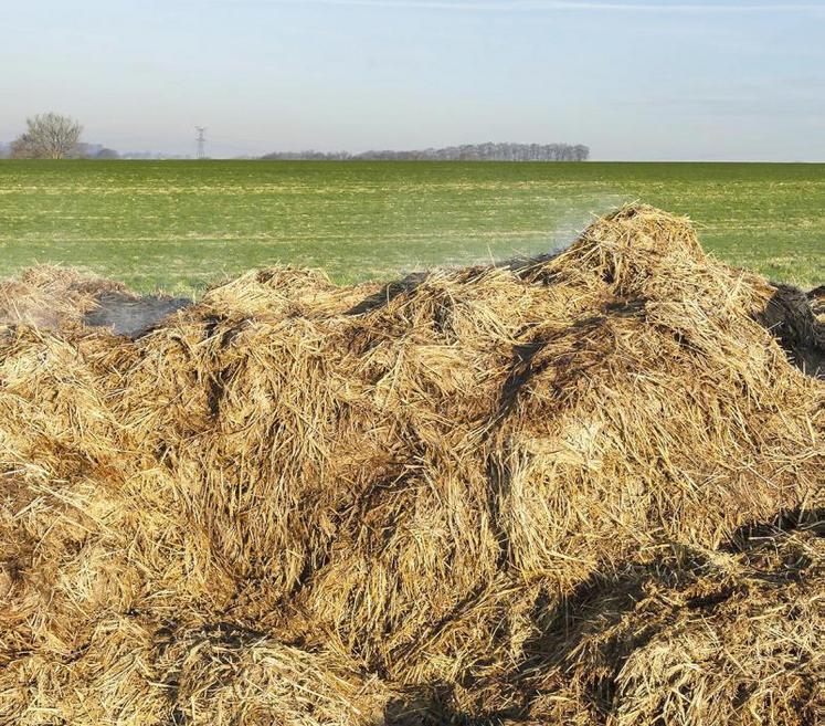 Les effluents d’élevage (fumiers et lisiers...) comportent des éléments fertilisants et de la matière organique nécessaires au sol
et aux cultures.