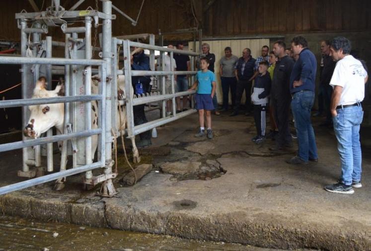 Dans l'après-midi, les participants ont vu une démonstration de l'eye breed.