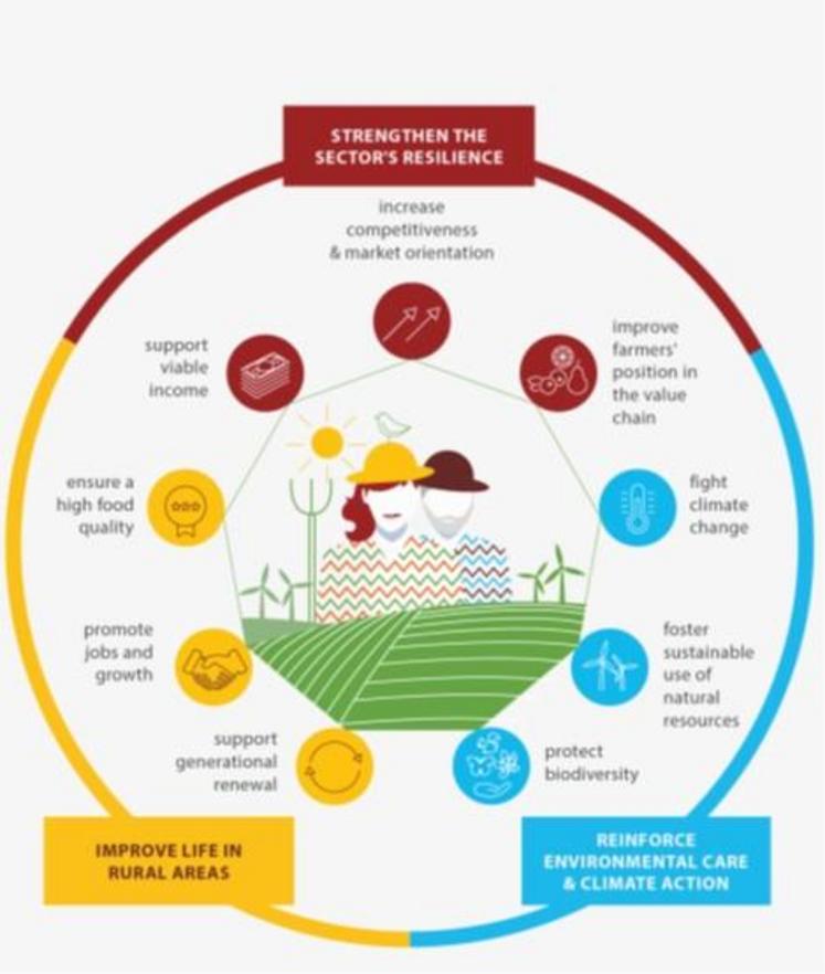 La politique agricole commune a subi plusieurs vagues
de réformes, afin d’adapter la politique à un monde en mutation