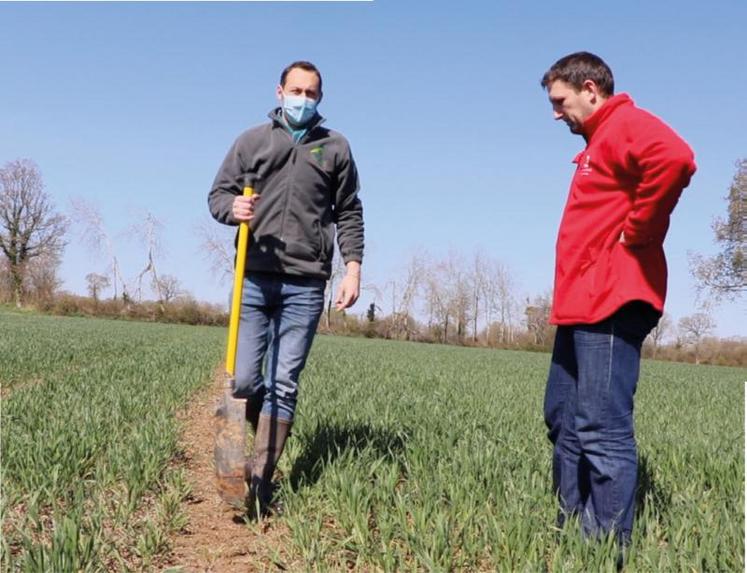 À droite, Antoine Maquerel, éleveur porcin à La-Chapelle-en-Juger (50), membre du GIEE Manche agriculture de conservation et Gabriele Fortino, conseiller en agronomie au sein de la Chambre d’agriculture de Normandie et animateur du GIEE.