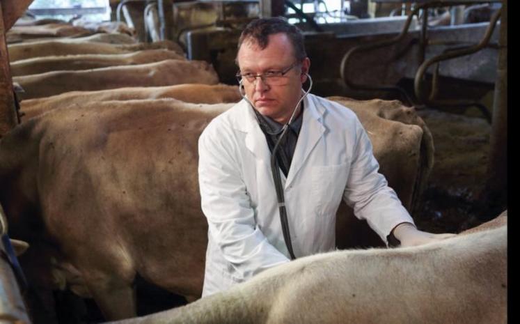 Les vétérinaires s’inquiètent de l’augmentation du niveau scolaire et technique des agriculteurs qui, maîtrisant bien la conduite de leur élevage, font parfois moins appel à eux, le vétérinaire étant un ultime recours.