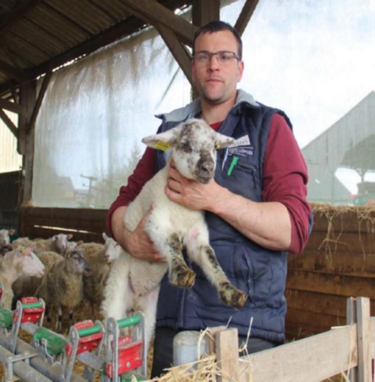 Christophe Guicheux, éleveur d'ovins à la Ferme d'Illièvre, à Sylvains-les-Moulins.