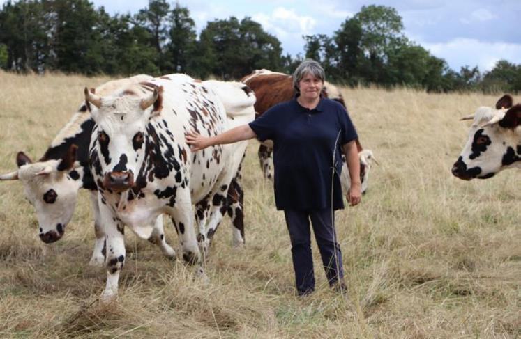 Béatrice Despres est installée au sud de Caen en bœuf de race Normande.