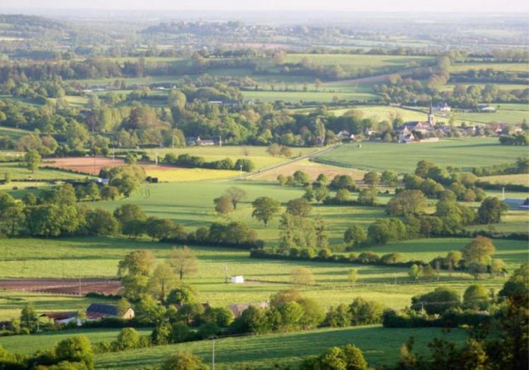 Des prairies bien exploitées et un bocage paysagé.