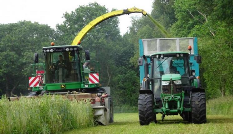 Une fois les méteils associant céréales et protéagineux récoltés en ensilage, la prairie est déjà bien implantée et prête à pousser sur la fin de printemps.