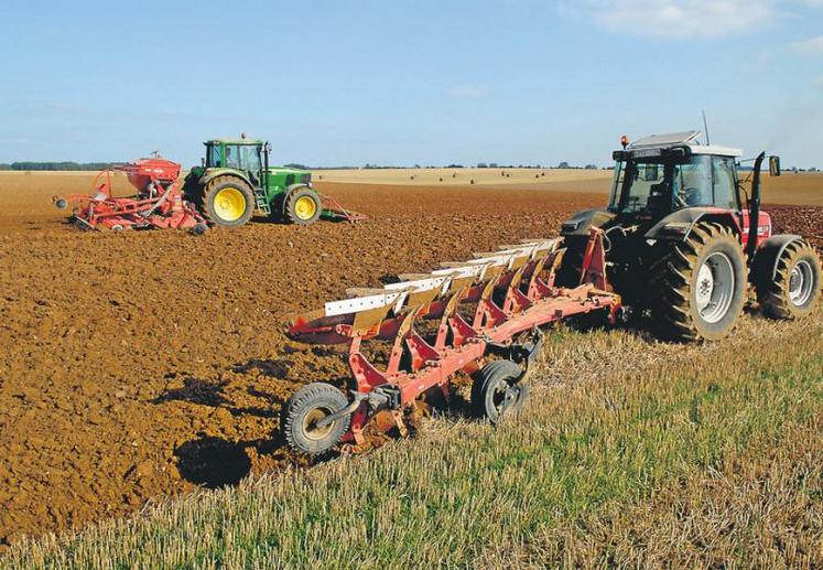 Semis de colza effectués début septembre.