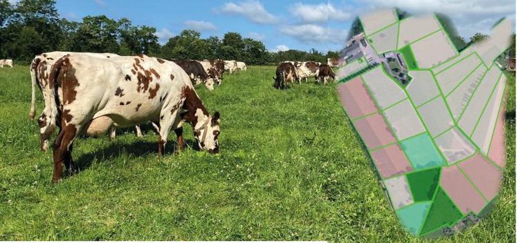 L’itinéraire de rénovation des prairies de pâturage à La Blanche Maison répond à la stratégie de couper l’accessibilité des parcelles de pâturage le moins longtemps possible.