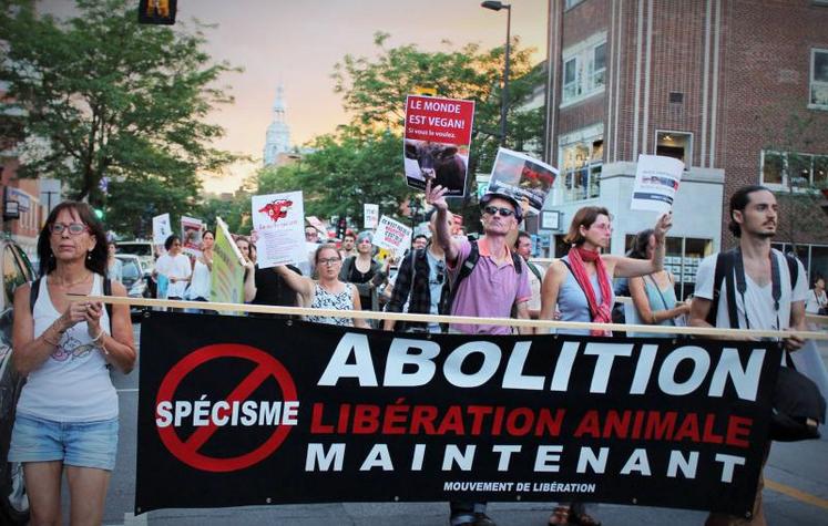 Manifestation d’antispécistes dans la rue.