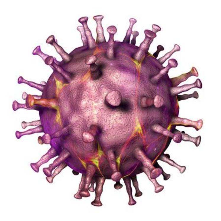 Virus de la peste porcine africaine, illustration 3d. adn virus enveloppé