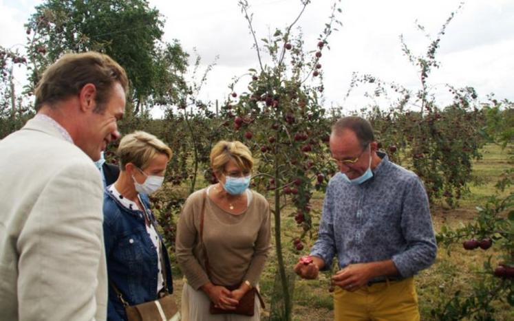 Dans le verger de pommes à cidres servant à la production
de cidre rosé : Eric Doré, exploitant bénéficiaire et accueillant la visite, Clotilde Eudier et Nathalie Lamarre de la Région et Gilles Lievens, président de la chambre d'Agriculture de l'Eure.