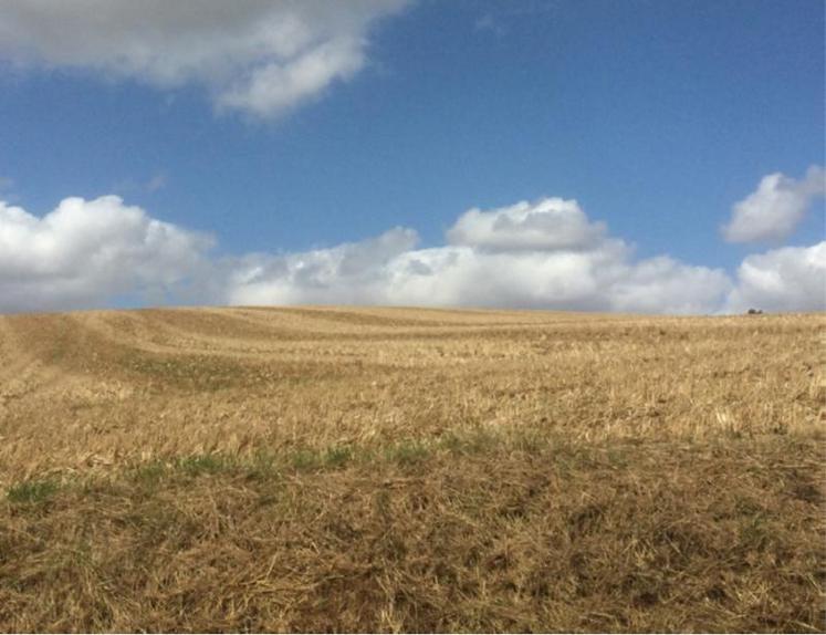 Le seuil à partir duquel une autorisation d’exploiter peut être
refusée demeure à 70 ha pour l’ensemble de la région.