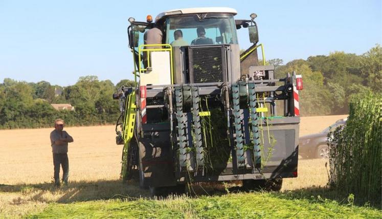 L'automotrice de fauchage est calibrée pour une sole de 300 hectares. Au poste de pilotage, Hugo Ozenne, employé de la coopérative et en charge du dossier « chanvre ». Il est en relation permanente avec Niels Baert (concepteur de la machine) pour optimiser son utilisation et apporter les dernières améliorations.