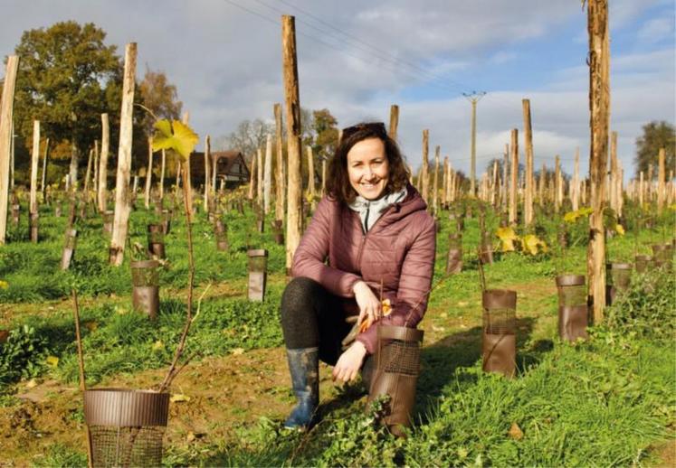 Axelle Piednoël s'est reconvertie pour lancer le domaine Leprince. Elle a suivi un BTS viticulture oenologie.