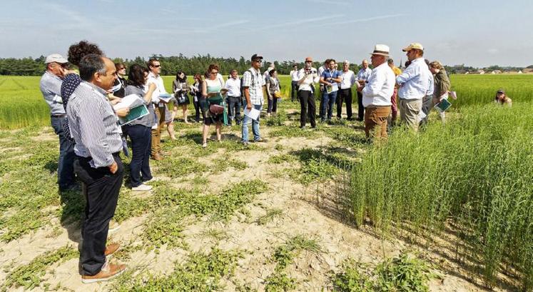 Un groupe issu du sommet Agri Innovation 2019 est venu entendre le résultat des études de réduction des intrants.