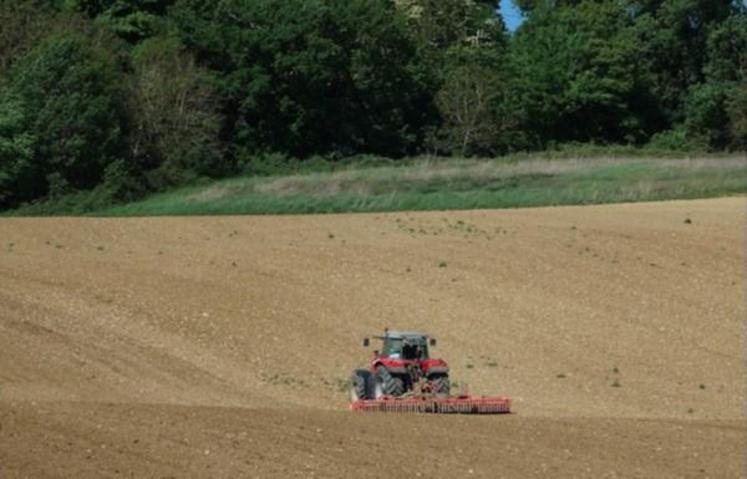 « En 2020, le prix de la production végétale hors subvention
rebondit : +2,5 % », souligne l’Insee.