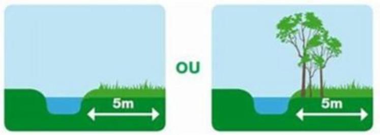 Une zone non traitée minimum de 5 m doit être
respectée au niveau des points d’eau.