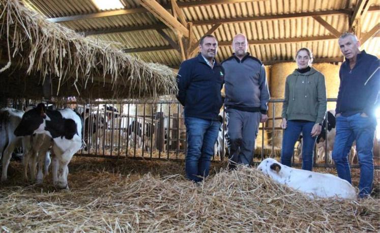 David Tonnelier, de la coop de Bellême ; Guillaume Larchevêque, éleveur ; Fanny Bansard, éleveuse et Laurent Pasquet, OrigenPlus. La coop de Bellême et OrigenPlus comptent une quarantaine d'utilisateurs du programme, notamment dans l'Orne et quelques-uns dans la Sarthe et le Calvados.